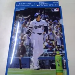 Item thumbnail for item 8911eb8b-2f27-42b5-aff3-0cda23d54f4a