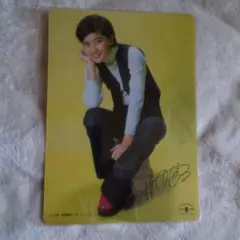 桜田淳子 / サイン入り下敷き☆ Yahoo!オークション - 珍品 桜田淳子 泣かないわ 下敷き サイン