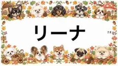 専用