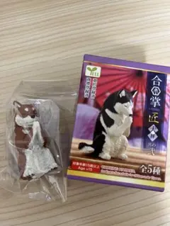 柴犬