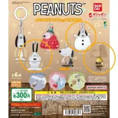 【新品未使用】3個セットPEANUTSめじるしアクセサリー FUNNY Ver.