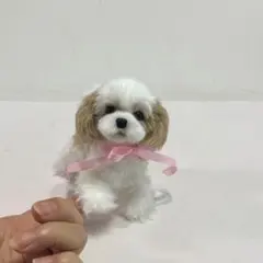 おうちが決まりました】手のひらサイズふわふわシーズーちゃん - メルカリ