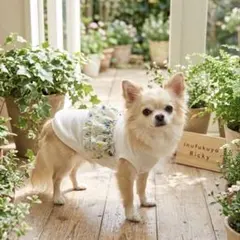 ボタニカル柄フリルタンクトップ　犬服オーダー　3Lまで ボタニカル柄フリルタンクトップ 犬服オーダー 3Lまで - メルカリ