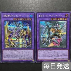 遊戯王　竜魔導騎士ブラックマジシャン　竜騎士ブラックマジシャンガール　計2枚