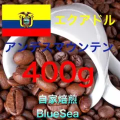 【自家焙煎コーヒー豆】エクアドル　アンデスマウンテン　400g(200g×2袋)