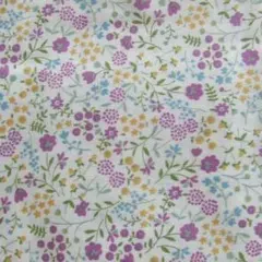 Item thumbnail for item 7065ef87-fcf6-45a9-8ab2-7b1fde9e24e1