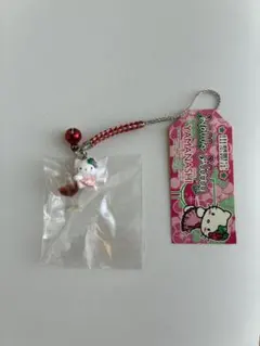 ハローキティ はろうきてぃ 名古屋名物みそかつ 名古屋限定 ご当地