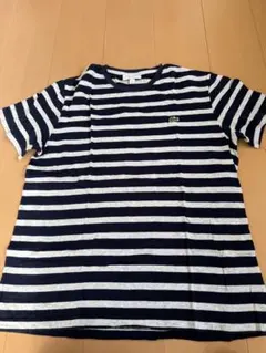 LACOSTE ストライプ Tシャツ US L