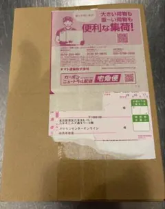 インフェルノX ポケモンセンター