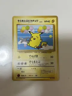 そらをとぶピカチュウ_ANA 「みんなにうれしいキャンペーン