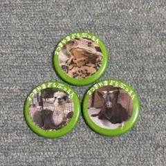 限定品　五月山動物園　ガチャガチャ　缶バッチ　カエル　アルパカ　ヤギ　池田市
