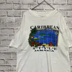 90sヴィンテージTシャツ！ホワイト半袖古着　L 14