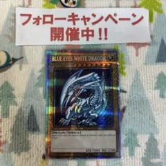 2025年最新】青眼の白龍 英語 プリシクの人気アイテム - メルカリ