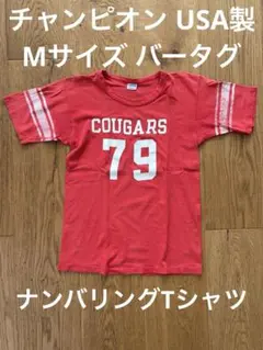 美品•コレクターズピース 】70sチャンピオンバータグリバーシブル 