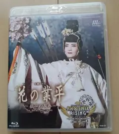 RG22 絢爛たる一族 華と乱 （DVD）新品未開封 RG22 絢爛たる一族 華と乱 （DVD）新品未開封 - メルカリ