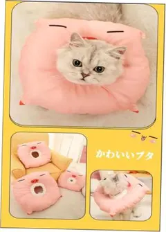 Item thumbnail for item f33c3f1d-d5ff-4d29-bfce-6400dca92776