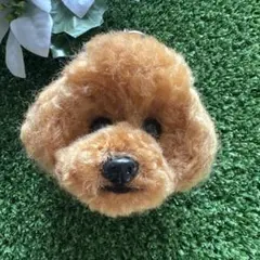 Item thumbnail for item 59dc4e34-3a81-48f4-9351-c22f91f0274d