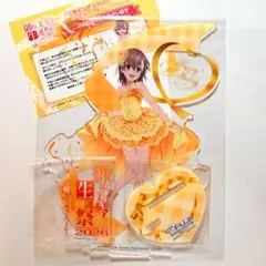 御坂美琴 生誕祭2026 BIGジオラマアクリルスタンド - メルカリ