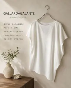 GALLARDAGALANTE 麻混 リネン アシンメトリー フレンチスリーブのサムネイル