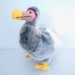 2026年最新】ドードー ぬいぐるみの人気アイテム - メルカリ