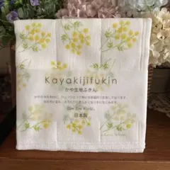 きのこの様 リクエスト 4点 まとめ商品