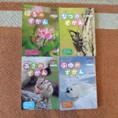 学研のずかん　ライブ　はっけん!　春夏秋冬　４冊