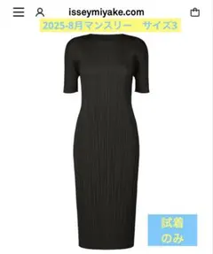 Issey Miyake PLEATS PLEASE 半袖ワンピース サイズ3