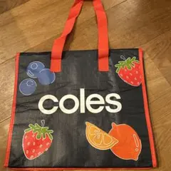 保冷エコバッグ クーラーボックス