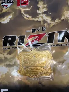 Item thumbnail for item cb0ceac7-f909-43d9-9a70-de90f068c4df