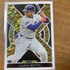 MLB topps Black Gold フアン ソト JUAN SOTO