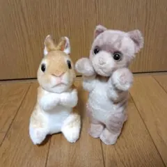 くったりエゾリス LMC セット ココア ライトグレー エゾリスマスコット くったりエゾリス LMC セット ココア ライトグレー エゾリスマスコット
