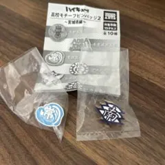 ハイキュー!! 高校モチーフピンバッジ2 2個セット