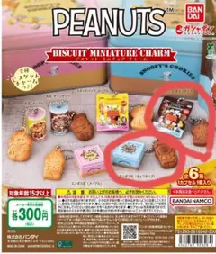 PEANUTS ビスケットミニチュアチャーム