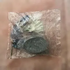 Item thumbnail for item 72bb04d7-cdd8-4e9e-9510-860800bca9f4