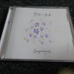 877 Streptocarpus 幸福の再来