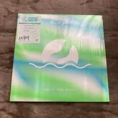 Yogee New Waves／WINDORGAN レコード