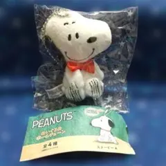 【匿名配送】PEANUTS ぬいぐるみボールチェーン スヌーピー B ガチャ