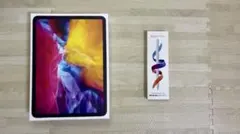 (美品) iPad Pro バッテリー95%&スタイラスペン付き(替芯多数)のサムネイル