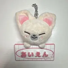 公式 straykids アイエン フォクシニー ネームバッグチャーム 未開封