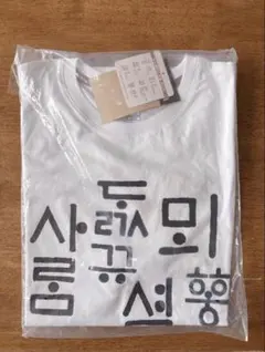 THE NORTHFACE ハングルシャツ 半袖 Tシャツ 韓国 正規品