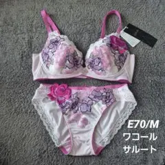 ☆新品 C70 L サルート 53G ブラ＆ショーツ セット RP - メルカリ