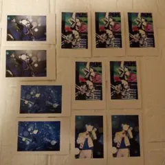 いれいす 武道館 実写 チェキ If　まとめ売り　11枚