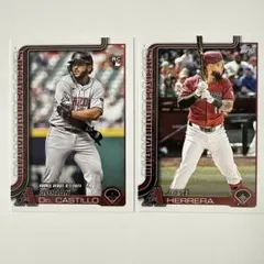 Topps Update 2025 Arizona diamondbacks2枚
