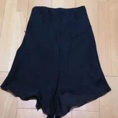 【値下げしました】ファイナルステージ　スカートのサムネイル