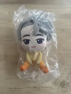 2025年最新】seventeen ぬいぐるみ ウォヌの人気アイテム - メルカリ