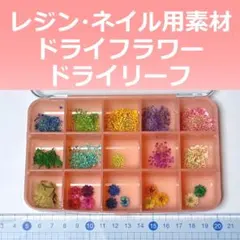 Item thumbnail for item f444c064-8ced-4663-b695-46d7e563f113