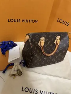 LOUIS VUITTON モノグラム スピーディー25 ハンドバッグ