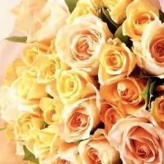 Item thumbnail for item 27dd4038-bbe5-4d53-b4e2-4e17b4995138