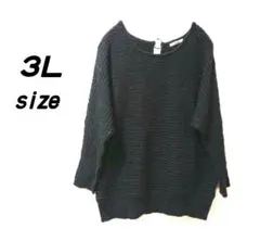 ３Ｌ ブラック ラメ付き ニット 伸縮性あり 大きいサイズ