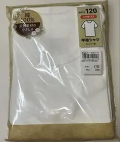 Item thumbnail for item cbe411e3-f899-454e-909d-518731fafc49